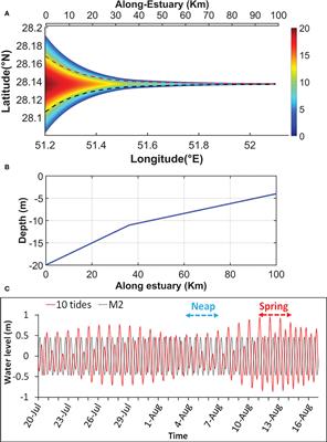 Longitudinal and lateral circulation and tidal impacts in salt-plug estuaries